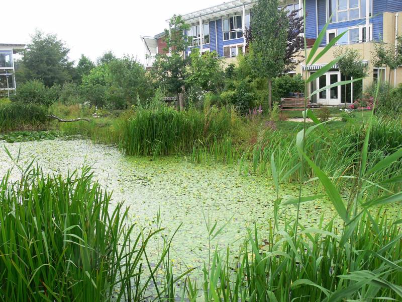 Dossier loi sur l'eau 