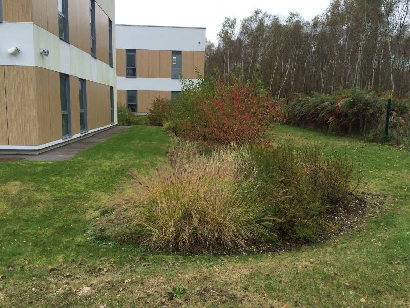 Gestion des eaux pluviales à la parcelle